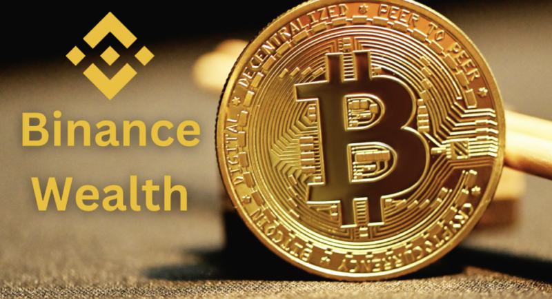 What Is Binance Wealth?