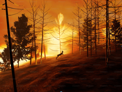 LA Wildfires Relief NFT Project Features Art by CryptoPunks Creator