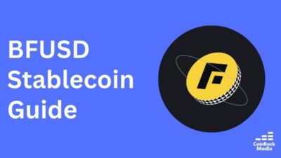 Essential Information About the BFUSD Stablecoin