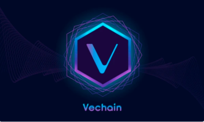 VeChain (VET): AI Predicts Bullish Price Swing by February 15, 2025