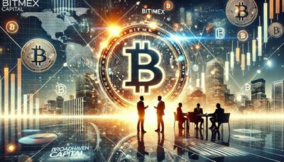 Crypto Exchange BitMEX Seeks Buyer, Engages Broadhaven Capital Partners