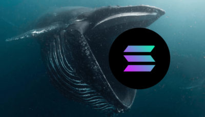 Solana Whales Accumulate More Solana Tokens as Price Dips