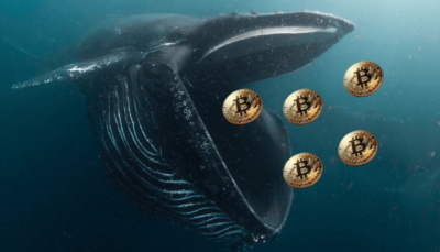Dormant Bitcoin Wallets Move $22 Million After 14 Years