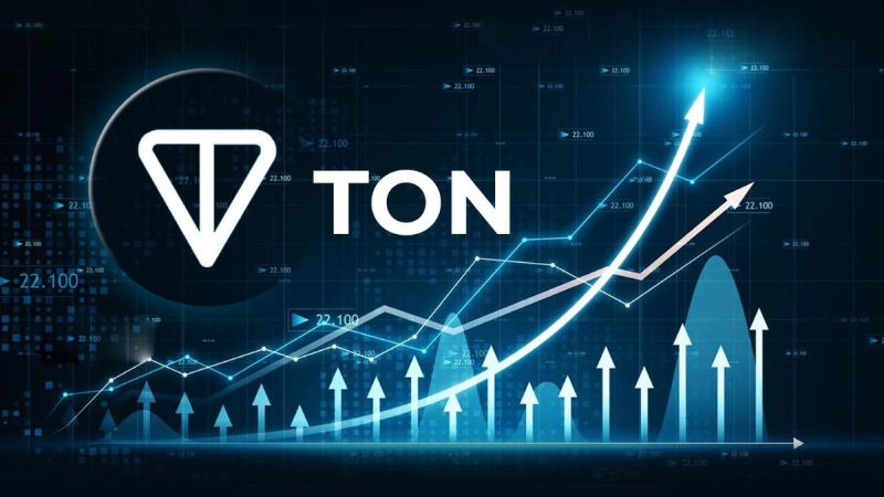 The Open Network (TON): A Quick Overview