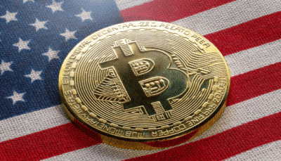 Bitcoin Bounces Back After Trump-Musk Clash Sparks Sell-Off